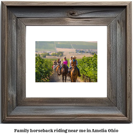 family horseback riding near me in Amelia, Ohio